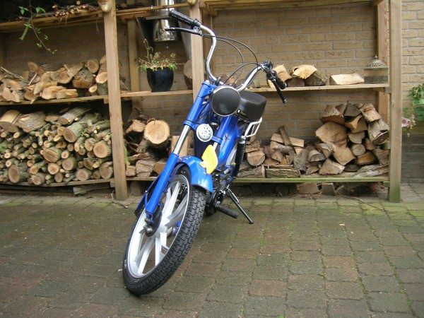 mot.JPG