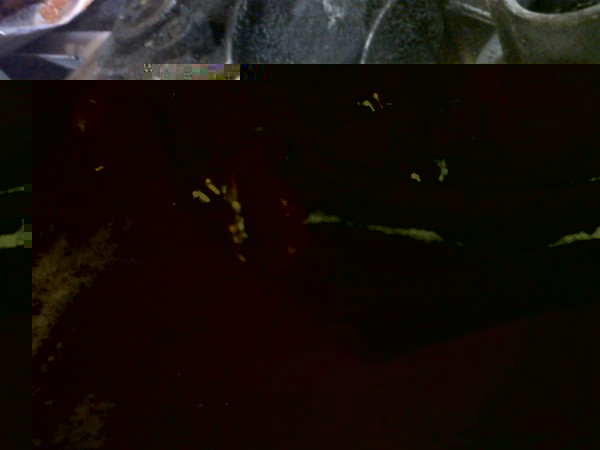 IMG00611-20120805-1202.jpg (316.36 KiB) 22086 keer bekeken IMG00611-20120805-1202.jpg