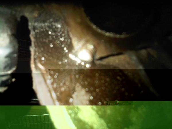 IMG-20130127-00141.jpg