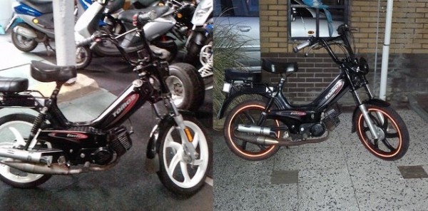 collage1.jpg