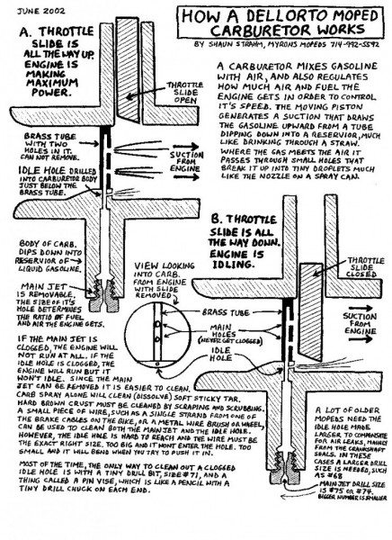 Delorto-Explained-744x1024.jpg