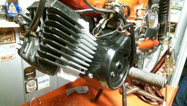 IMAG1163.jpg