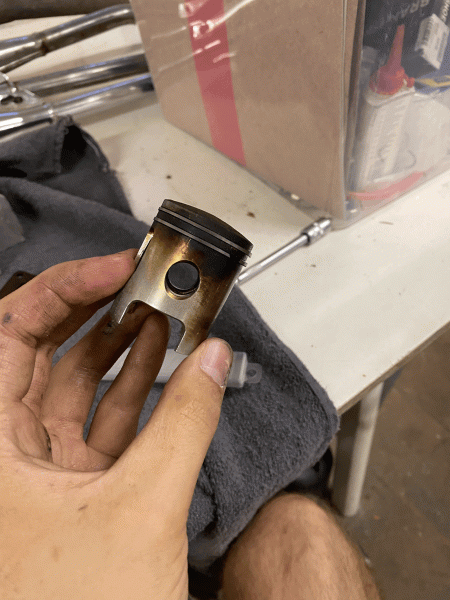 tempImage2kpRYL.gif