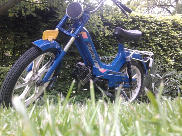 bij de appelboom.jpg