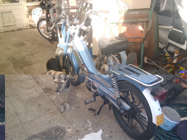 Foto0732.jpg (1.31 MiB) 7559 keer bekeken Foto0732.jpg