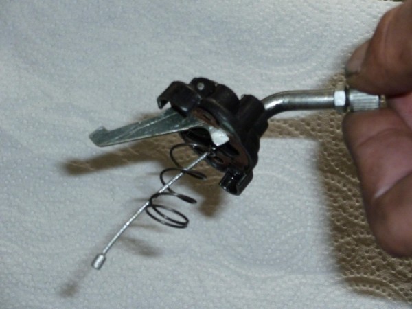 P1000151.JPG